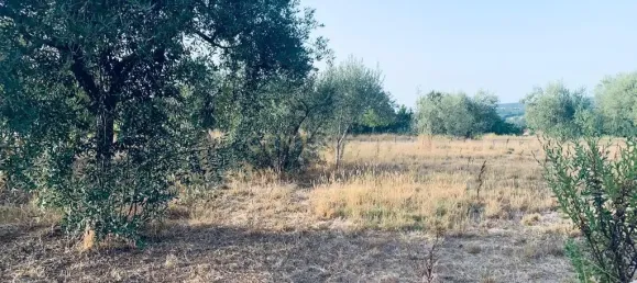  قطعة أرض في Pombal, Portugal 1800متر مربع رقم 14128 15