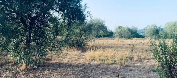  قطعة أرض في Pombal, Portugal 1800متر مربع رقم 14128 10