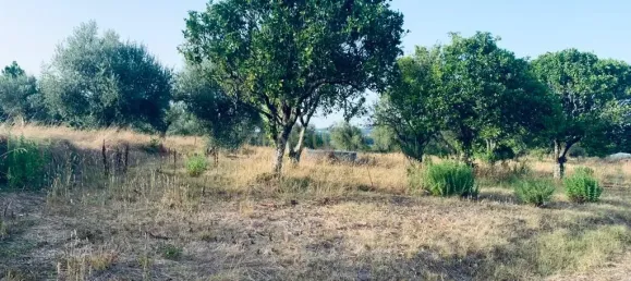  قطعة أرض في Pombal, Portugal 1800متر مربع رقم 14128 7