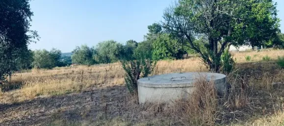  قطعة أرض في Pombal, Portugal 1800متر مربع رقم 14128 2