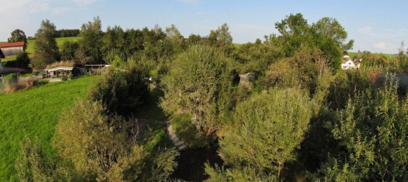 8 bedrooms House in Oberallgau, Germany No. 174210 3