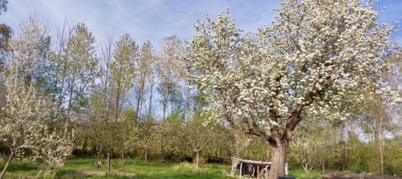 8 bedrooms House in Oberallgau, Germany No. 174210 9