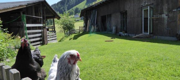 Casa de 9 habitaciónes en Bruck an der Grossglocknerstrasse, Austria No. 214793 3