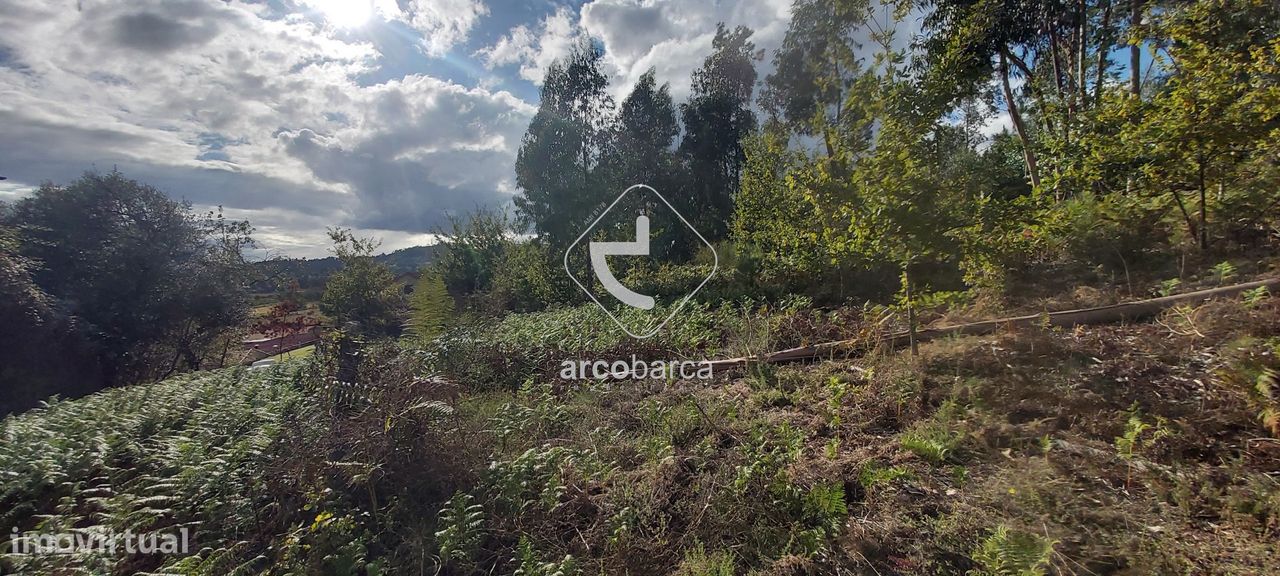 2950m² Land in Ponte de Lima, Portugal No. 213327