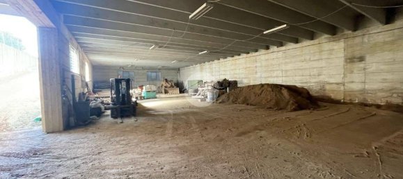 مستودع في Seriate, Italy 1450متر مربع رقم 6407 10