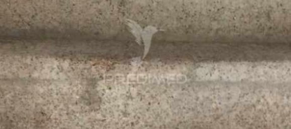 3 Schlafzimmer Haus in Beira, Portugal, Nr. 102334 3