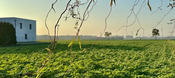  Land in Pottendorf, Austria No. 129957 2