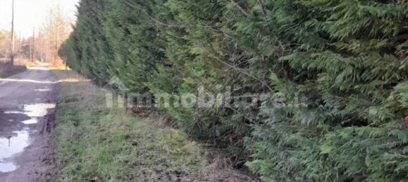 Grundstück in Mantua, Italy 1400m², Nr. 355702 4