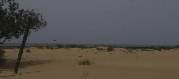 11 rooms Villa in Scicli, Italy No. 139243 15