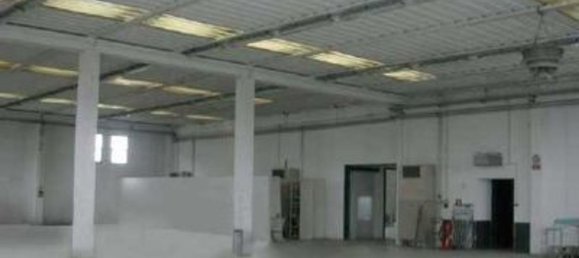 3 rooms Warehouse in Sovicille, Italy No. 179001 3