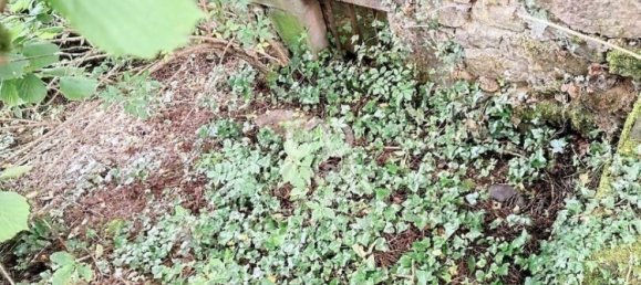 Casa de 3 divisões em Perpezat, France N.º 331242 25