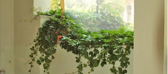 891m² Townhouse in Boeotia, Greece No. 7031 23