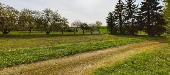 Terrain à Nogent-sur-Seine, France No. 75025 4