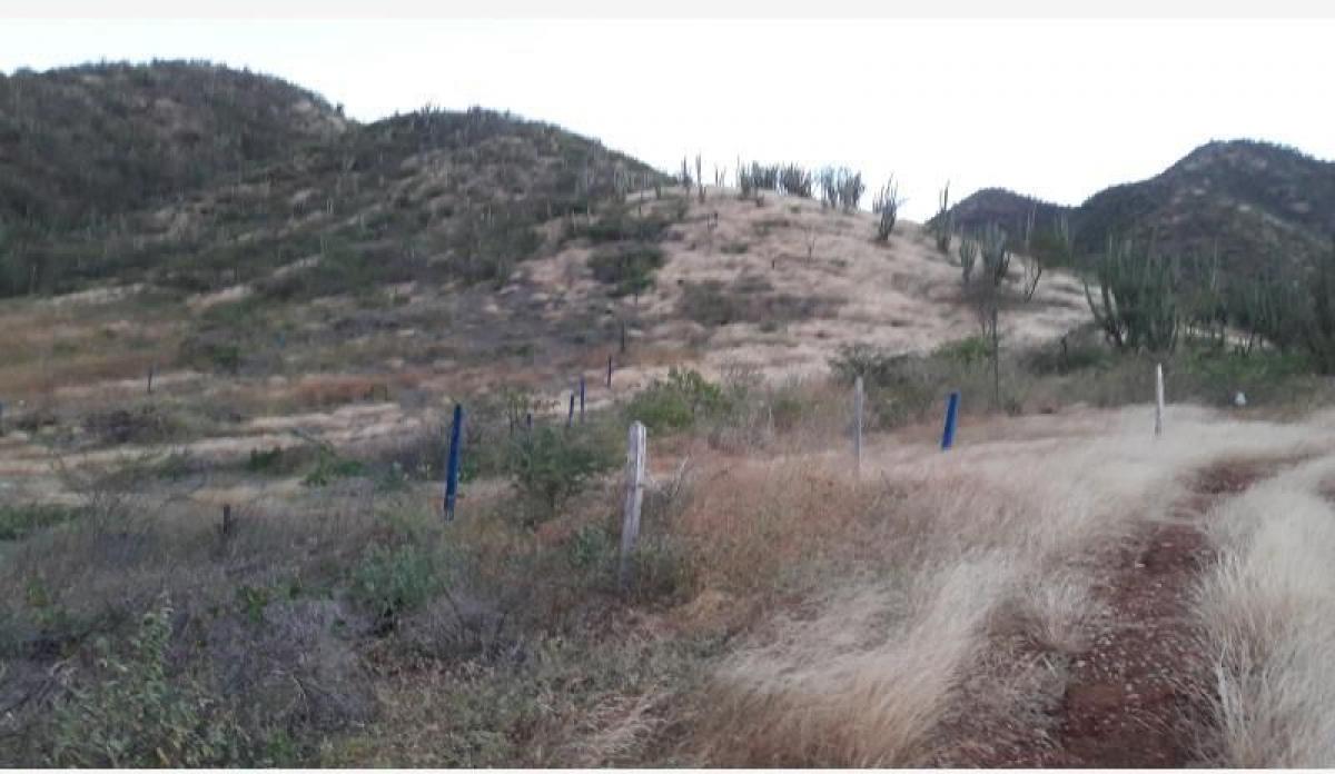  Land in Guadalajara de Buga, Colombia No. 713