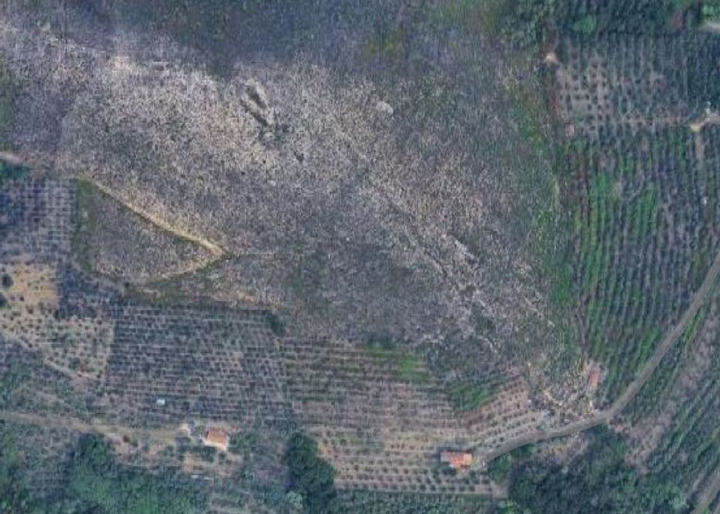  Land in Vicopisano, Italy No. 372213