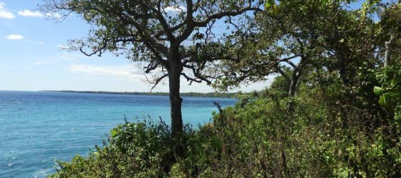 Земельный участок 20000м² в Восточная Нуса-Тенгара, Индонезия № 4489 3