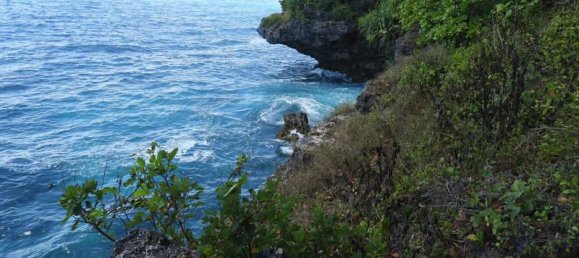 Земельный участок 20000м² в Восточная Нуса-Тенгара, Индонезия № 4489 2