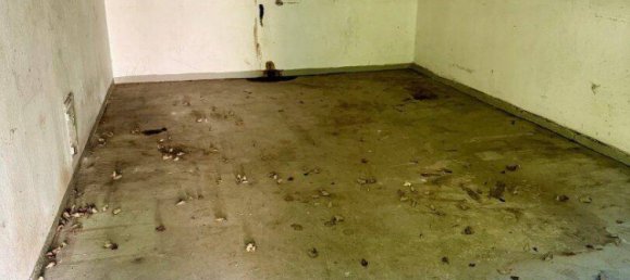 6 rooms House in Hagenbrunn, Austria No. 223185 31