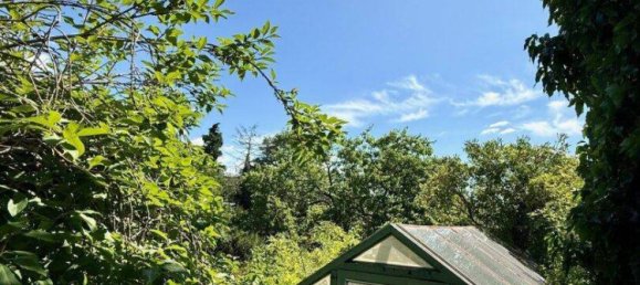 6 rooms House in Hagenbrunn, Austria No. 223185 32