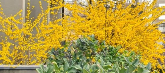 3غرفة شقة في Villasanta, Italy رقم 238890 13