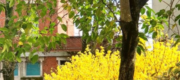 3غرفة شقة في Villasanta, Italy رقم 238890 17