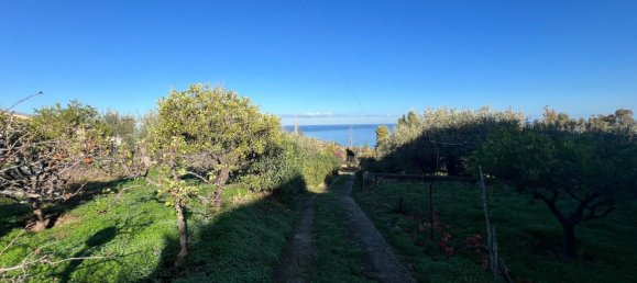 Дом с 3 комнатами в Термини Имерезе, Италия № 175910 3