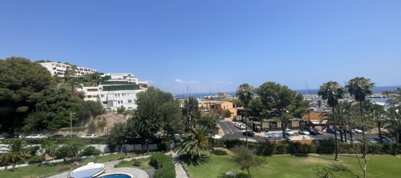 3 غرف نوم شقة في Mallorca, Spain رقم 165149 14