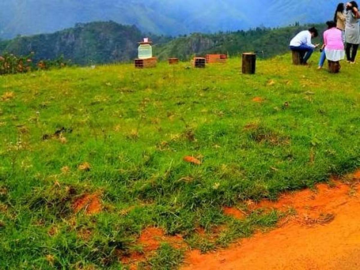  قطعة أرض في Tamil Nadu, India رقم 38669