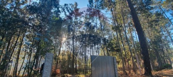 2350m² Land in Nelas, Portugal No. 42449 3