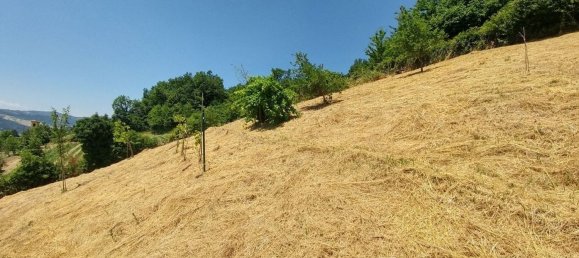 10 bedrooms House in Zocca, Italy No. 337683 36