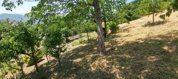 10 bedrooms House in Zocca, Italy No. 337683 39