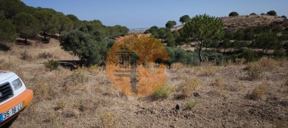 117360m² Land in Castro Marim, Portugal No. 260126 26