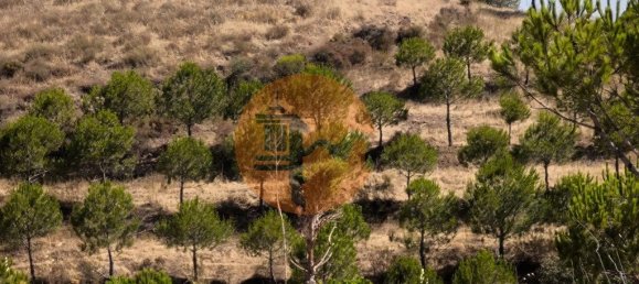 117360m² Land in Castro Marim, Portugal No. 260126 24