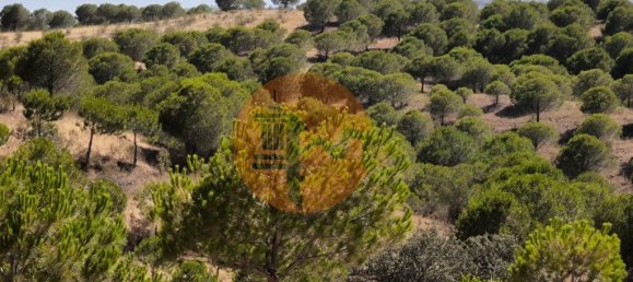 117360m² Land in Castro Marim, Portugal No. 260126 25