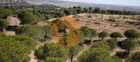 117360m² Land in Castro Marim, Portugal No. 260126 15