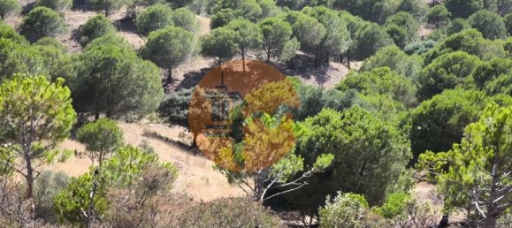 117360m² Land in Castro Marim, Portugal No. 260126 21