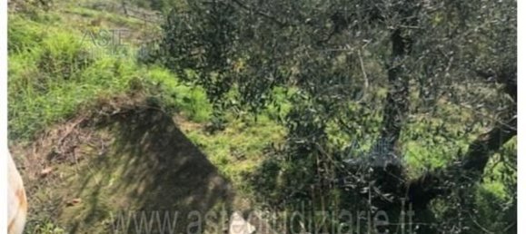 Дом с 10 спальнями в Борцонаска, Италия № 349042 7