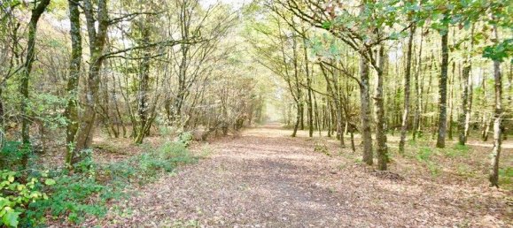 5 bedrooms Castles in Saint-Maurice-sur-Fessard, France No. 153283 13