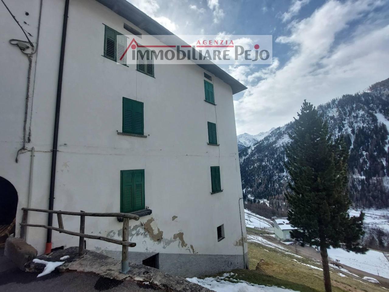 2 rooms Apartment in Peio, Italy No. 33282
