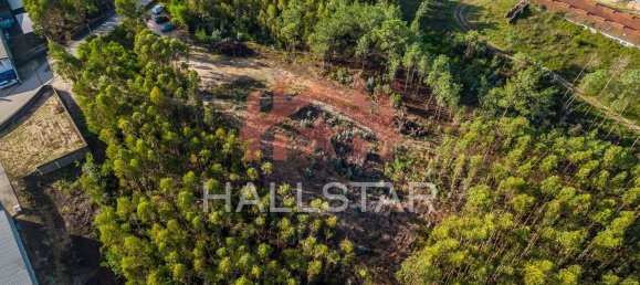 Grundstück in Leiria, Portugal 3610m², Nr. 75466 6