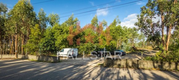 Grundstück in Leiria, Portugal 3610m², Nr. 75466 18