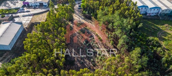 Grundstück in Leiria, Portugal 3610m², Nr. 75466 10