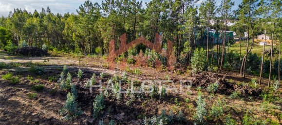 Grundstück in Leiria, Portugal 3610m², Nr. 75466 23