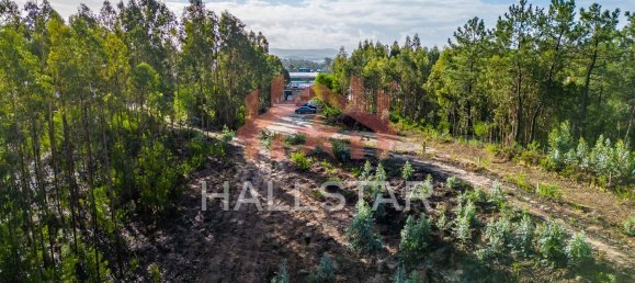 Grundstück in Leiria, Portugal 3610m², Nr. 75466 22