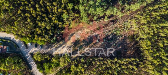 Grundstück in Leiria, Portugal 3610m², Nr. 75466 4