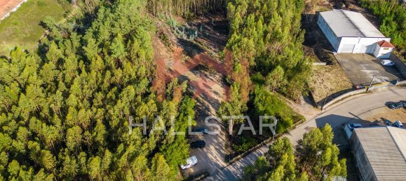 Grundstück in Leiria, Portugal 3610m², Nr. 75466 3