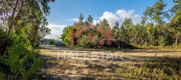 Grundstück in Leiria, Portugal 3610m², Nr. 75466 16