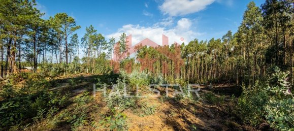 Grundstück in Leiria, Portugal 3610m², Nr. 75466 15