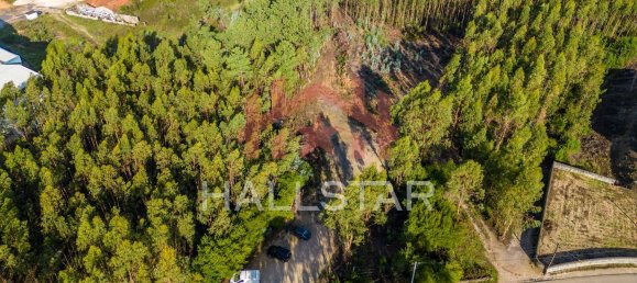 Grundstück in Leiria, Portugal 3610m², Nr. 75466 2