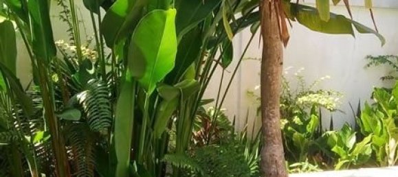 3 غرف نوم مقهى / مطعم في Pattaya, Thailand رقم 4046 15